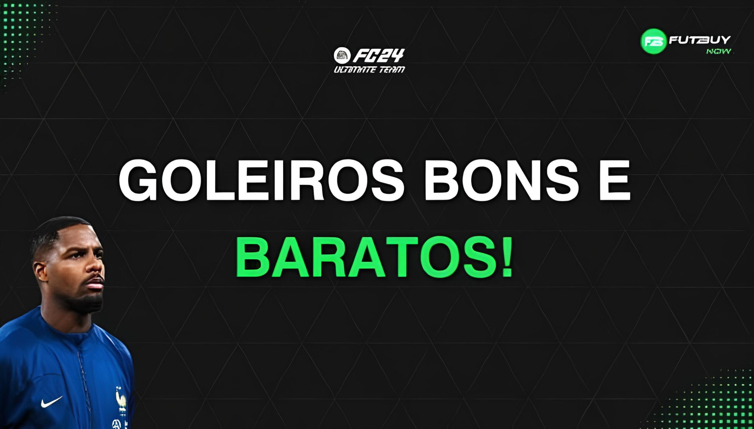 Goleiros Bons e Baratos FIFA 24